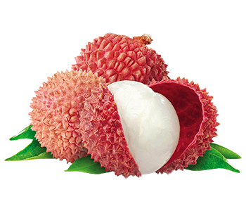 litchi