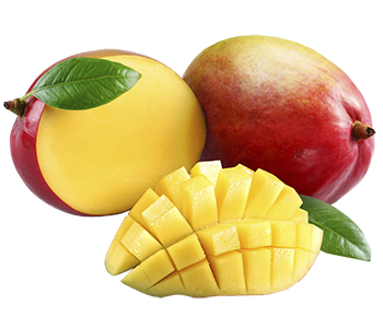mangue